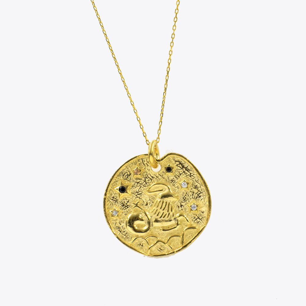 Aries zodiac sign pendant with chain BLAR036